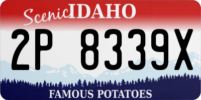 ID license plate 2P8339X