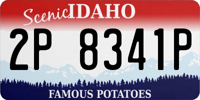 ID license plate 2P8341P