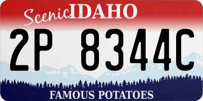 ID license plate 2P8344C