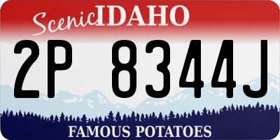 ID license plate 2P8344J