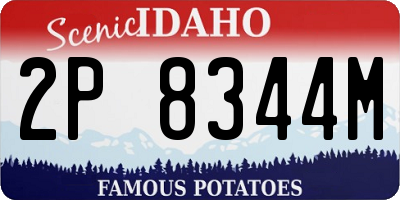 ID license plate 2P8344M