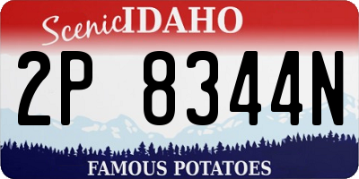 ID license plate 2P8344N
