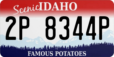 ID license plate 2P8344P