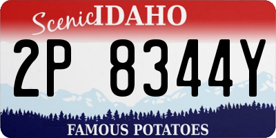 ID license plate 2P8344Y