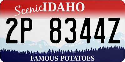 ID license plate 2P8344Z