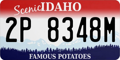 ID license plate 2P8348M