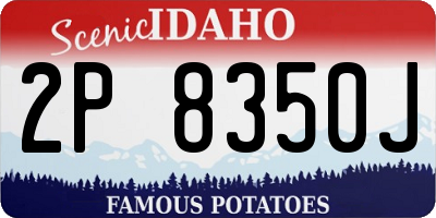 ID license plate 2P8350J