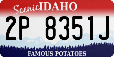 ID license plate 2P8351J