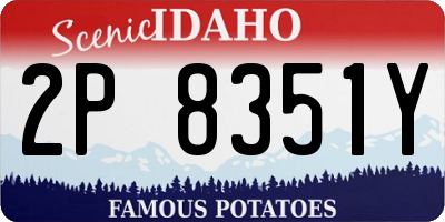 ID license plate 2P8351Y