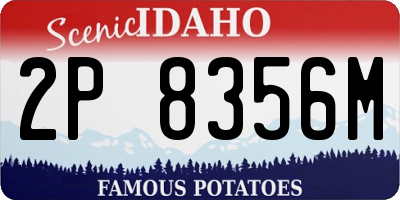 ID license plate 2P8356M