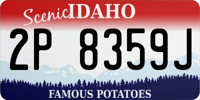 ID license plate 2P8359J