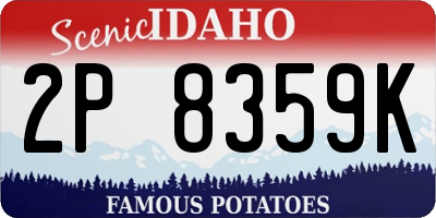ID license plate 2P8359K