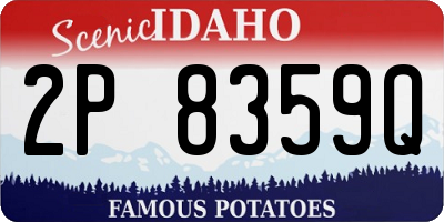 ID license plate 2P8359Q