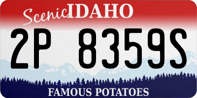 ID license plate 2P8359S