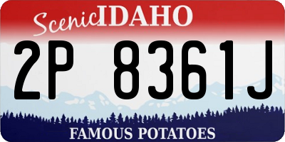ID license plate 2P8361J