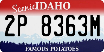 ID license plate 2P8363M