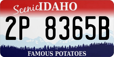 ID license plate 2P8365B