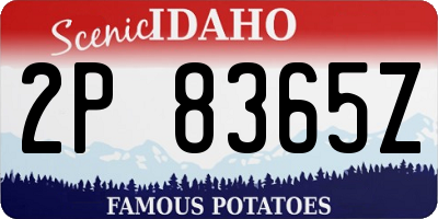 ID license plate 2P8365Z
