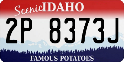 ID license plate 2P8373J