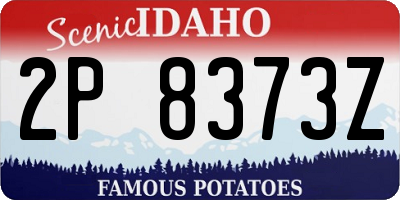 ID license plate 2P8373Z