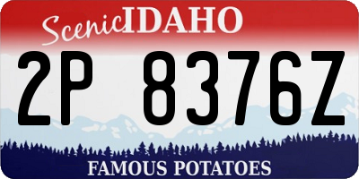 ID license plate 2P8376Z