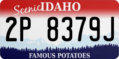 ID license plate 2P8379J