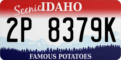 ID license plate 2P8379K