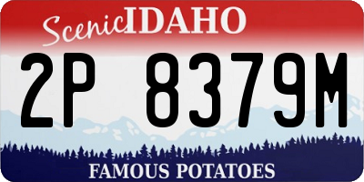 ID license plate 2P8379M