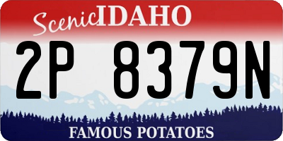 ID license plate 2P8379N