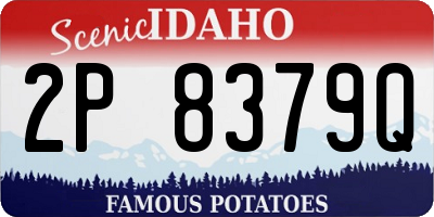 ID license plate 2P8379Q