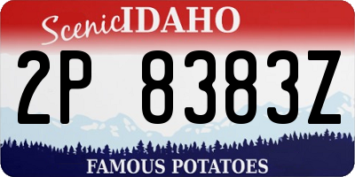 ID license plate 2P8383Z