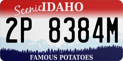 ID license plate 2P8384M