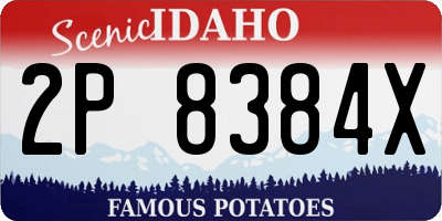 ID license plate 2P8384X