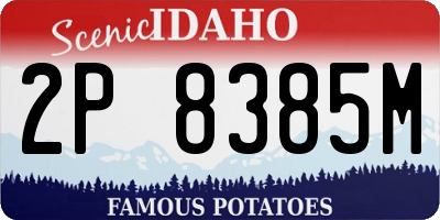 ID license plate 2P8385M