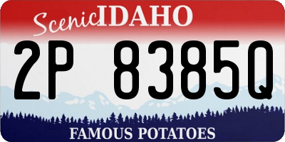 ID license plate 2P8385Q