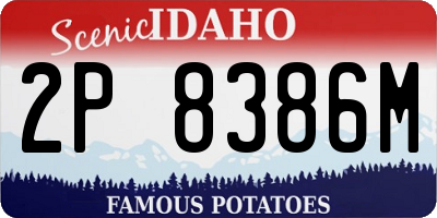 ID license plate 2P8386M