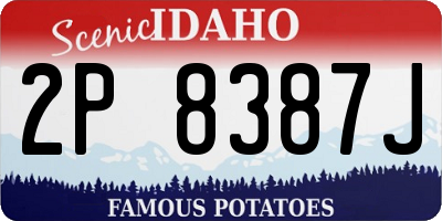 ID license plate 2P8387J