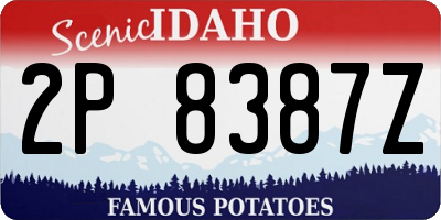 ID license plate 2P8387Z
