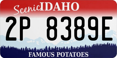 ID license plate 2P8389E