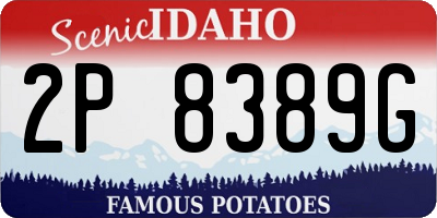 ID license plate 2P8389G