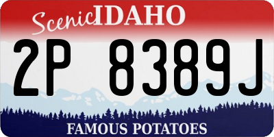 ID license plate 2P8389J