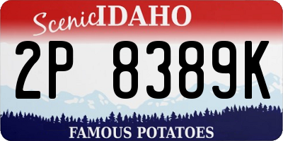 ID license plate 2P8389K
