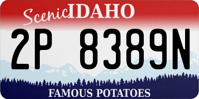ID license plate 2P8389N