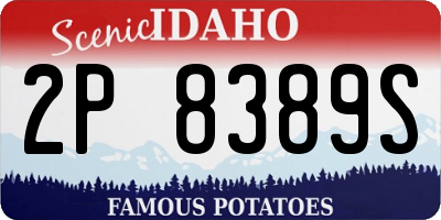 ID license plate 2P8389S