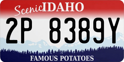 ID license plate 2P8389Y