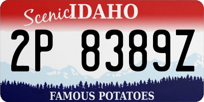 ID license plate 2P8389Z