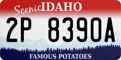 ID license plate 2P8390A