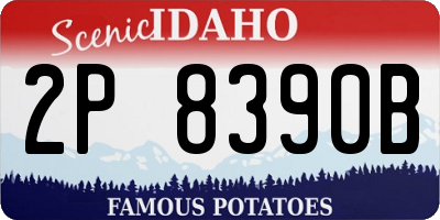 ID license plate 2P8390B