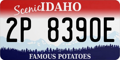 ID license plate 2P8390E