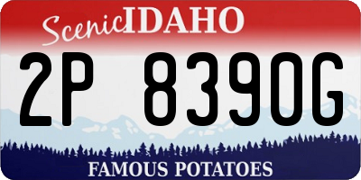 ID license plate 2P8390G